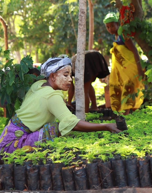 Towards our carbon-neutral goal image
